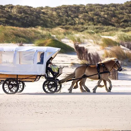 Appartementhaus Bracht - Moewennest Апартаменты *